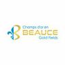 Beauce Gold Fields Inc.'s profile photo